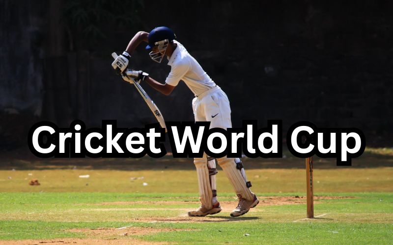 cricket world cup